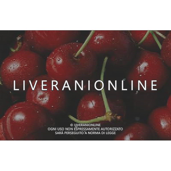 SITUATION CILIEGE FRUTTA AGENZIA ALDO LIVERANI IFC