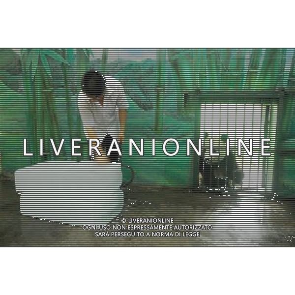 (110730) -- WUHAN, July 30, 2011 () -- A feeder named Chen Jun lays ice cubes for giant panda in a zoo of Wuhan, capital of central China\'s Hubei Province, July 30, 2011. A variety of measures, including laying ice cubes, setting automatic control system of temperature and wet, giving bath and feeding juice, were taken to help animals enjoy the coolness in the summer. (/Xiao Yijiu)(mcg)