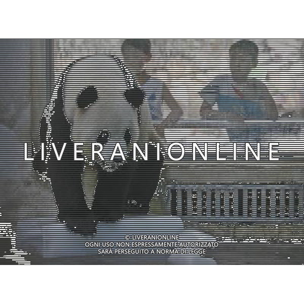 Bildnummer: 55629846 Datum: 29.07.2011 Copyright: imago/ (110729) -- WUHAN, July 29, 2011 () -- A giant panda has fun with a big piece of ice while cooling itself in Wuhan Zoo in Wuhan, capital of central China s Hubei Province, July 29, 2011. The temperature in Wuhan reached 36 degrees Celsius on Friday. () (cxy) #CHINA-HUBEI-WUHAN-PANDA (CN) PUBLICATIONxNOTxINxCHN Gesellschaft Tiere Abk¸hlung Pandab‰r Hitze Sommer Eis Eisblock kurios Komik x0x xst premiumd 2011 quer Bildnummer 55629846 Date 29 07 2011 Copyright Imago Wuhan July 29 2011 a Giant Panda has Fun With a Big Piece of ICE while Cooling itself in Wuhan Zoo in Wuhan Capital of Central China S Hubei Province July 29 2011 The temperature in Wuhan reached 36 Degrees Celsius ON Friday Cxy # CHINA Hubei Wuhan Panda CN PUBLICATIONxNOTxINxCHN Society Animals Cooling Panda bear Heat Summer Ice Ice Block funny comic x0x premiumd 2011 horizontal