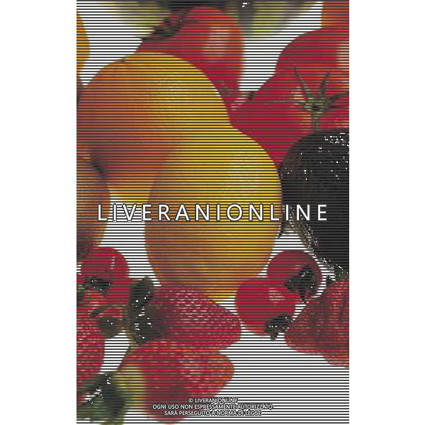 SITUATION COMPOSIZIONE FRUTTA VARIA AGENZIA ALDO LIVERANI IFC