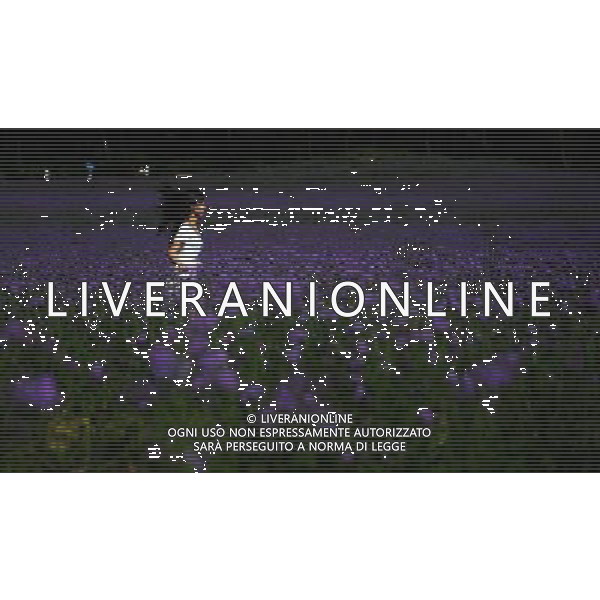 (110801) SHENYANG, Aug. 1, 2011 () A girl runs through a flower field at a lavender theme park in Shenyang, capital city of northeast China\'s Liaoning Province, July 31, 2011. The park, covering an area of 333 hectares, opened for public on Sunday. (/Li Yuze) (dtf)