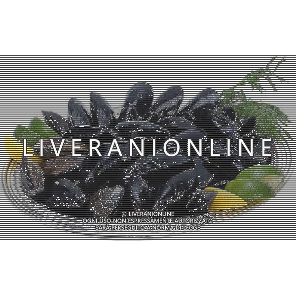 SITUATION COZZE AGENZIA ALDO LIVERANI IFC