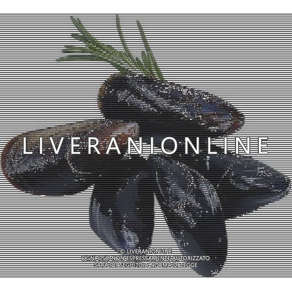 SITUATION COZZE AGENZIA ALDO LIVERANI IFC