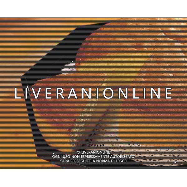 SITUATION DOLCI-BISCOTTI AGENZIA ALDO LIVERANI