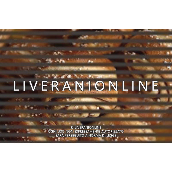 SITUATION BRIOSCHES AGENZIA ALDO LIVERANI