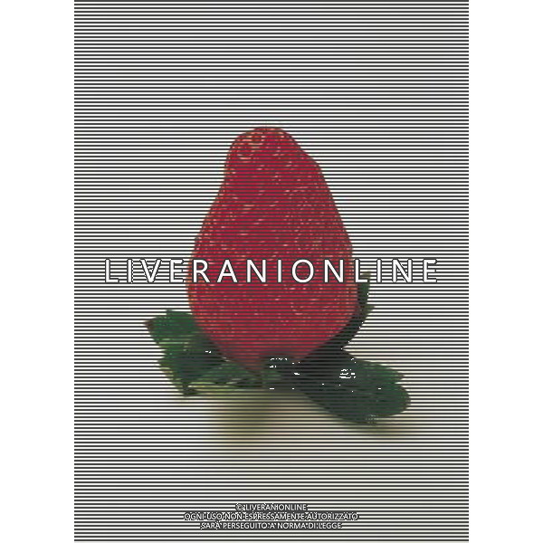 NELLA FOTO FRAGOLE SITUATION AGENZIA ALDO LIVERANI IFC