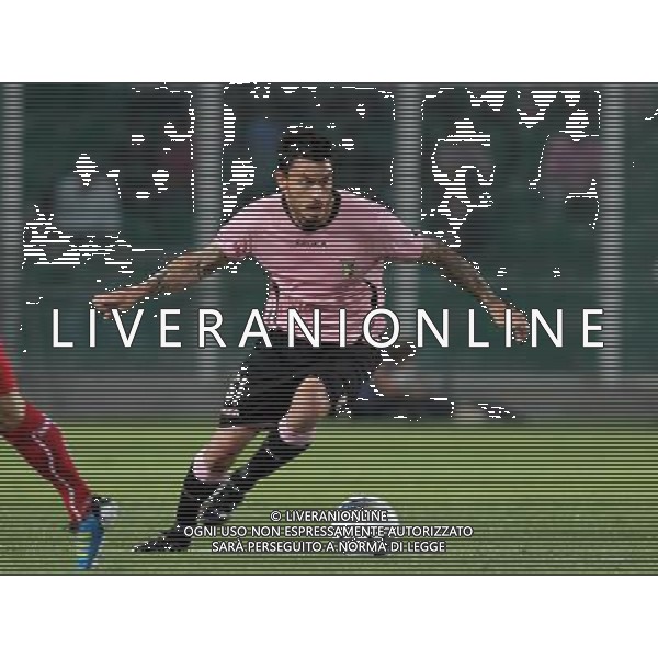 GIUSEPPE SERGI - ALDO LIVERANI 28-7-11 Palermo : palermo - thun europa league 2011-12 Nella foto: pinilla mauricio