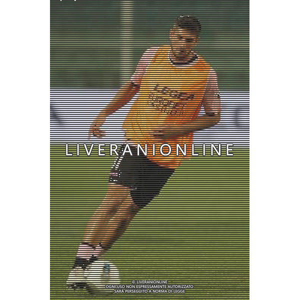 GIUSEPPE SERGI - ALDO LIVERANI 28-7-11 Palermo : palermo - thun europa league 2011-12 Nella foto: pisano eros