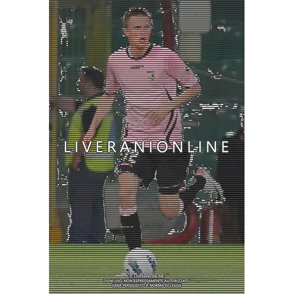 GIUSEPPE SERGI - ALDO LIVERANI 28-7-11 Palermo : palermo - thun europa league 2011-12 Nella foto: josip ilicic