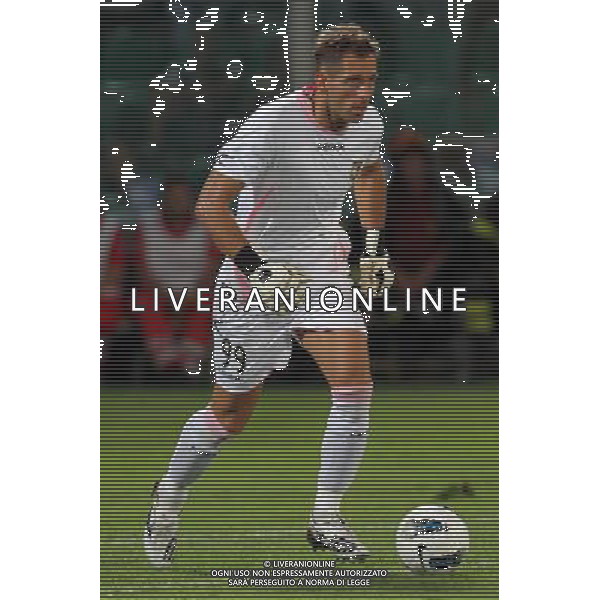 GIUSEPPE SERGI - ALDO LIVERANI 28-7-11 Palermo : palermo - thun europa league 2011-12 Nella foto: BENUSSI FRANCESCO