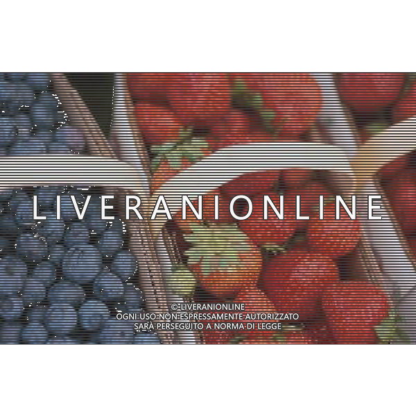 NELLA FOTO FRAGOLE SITUATION CON MIRTILLI AGENZIA ALDO LIVERANI IFC