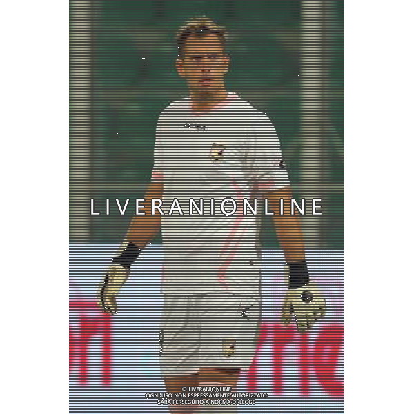 GIUSEPPE SERGI - ALDO LIVERANI 28-7-11 Palermo : palermo - thun europa league 2011-12 Nella foto: BENUSSI FRANCESCO