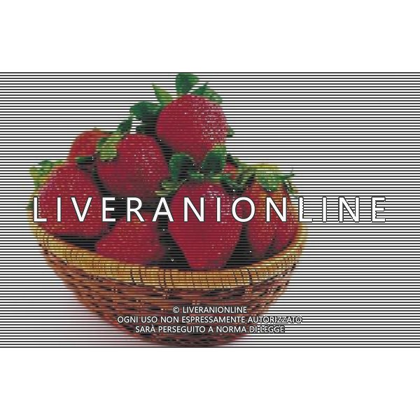 NELLA FOTO FRAGOLE SITUATION AGENZIA ALDO LIVERANI IFC