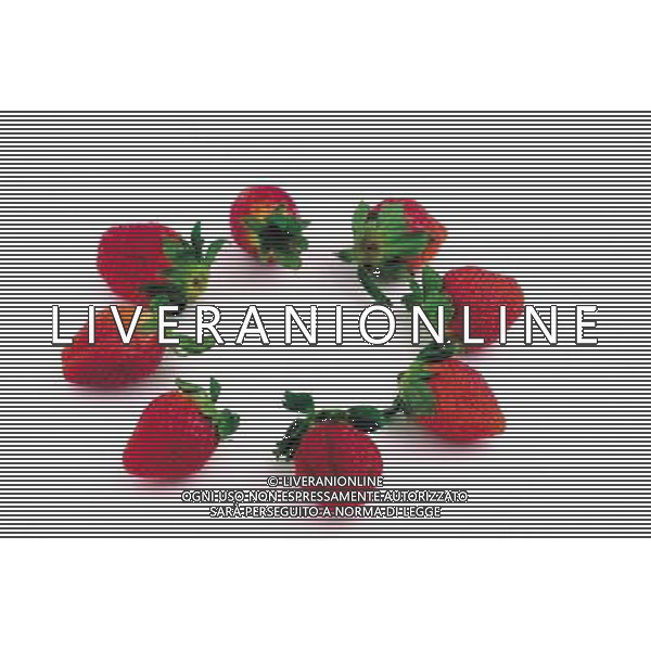 NELLA FOTO FRAGOLE SITUATION AGENZIA ALDO LIVERANI IFC