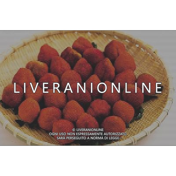 NELLA FOTO FRAGOLE SITUATION AGENZIA ALDO LIVERANI IFC