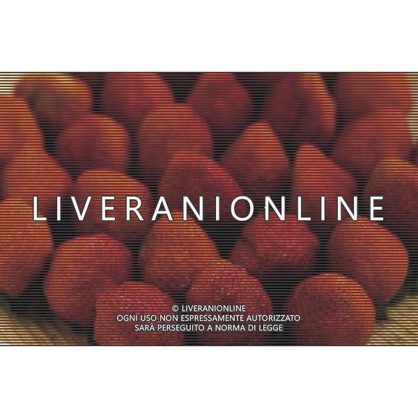 NELLA FOTO FRAGOLE SITUATION AGENZIA ALDO LIVERANI IFC