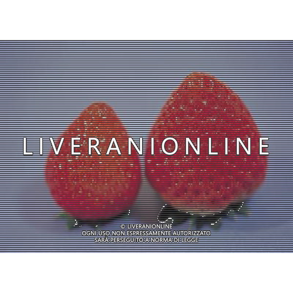NELLA FOTO FRAGOLE SITUATION AGENZIA ALDO LIVERANI IFC