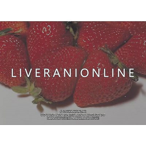 NELLA FOTO FRAGOLE SITUATION AGENZIA ALDO LIVERANI IFC