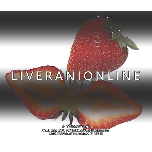 NELLA FOTO FRAGOLE SITUATION AGENZIA ALDO LIVERANI IFC