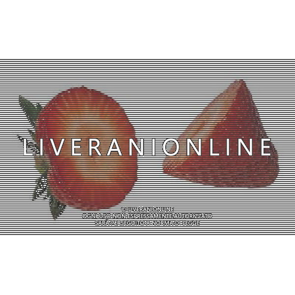 NELLA FOTO FRAGOLE SITUATION AGENZIA ALDO LIVERANI IFC