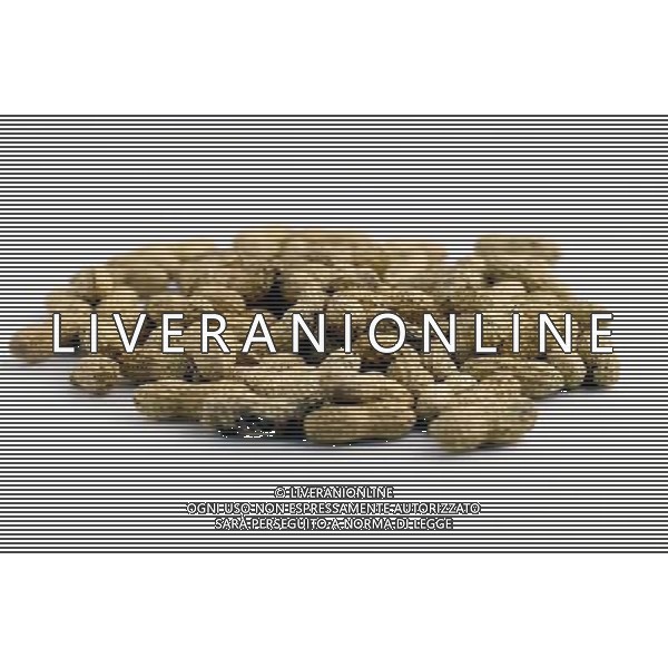 SITUATION NOCCIOLINE AGENZIA ALDO LIVERANI IFC