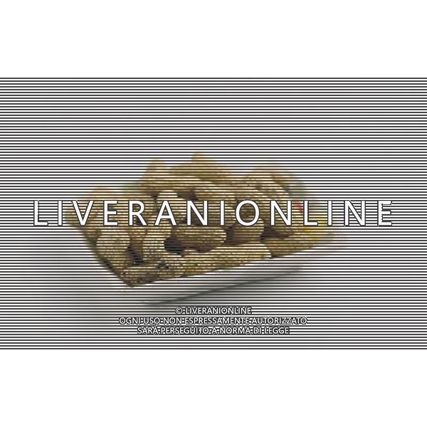SITUATION NOCCIOLINE AGENZIA ALDO LIVERANI IFC