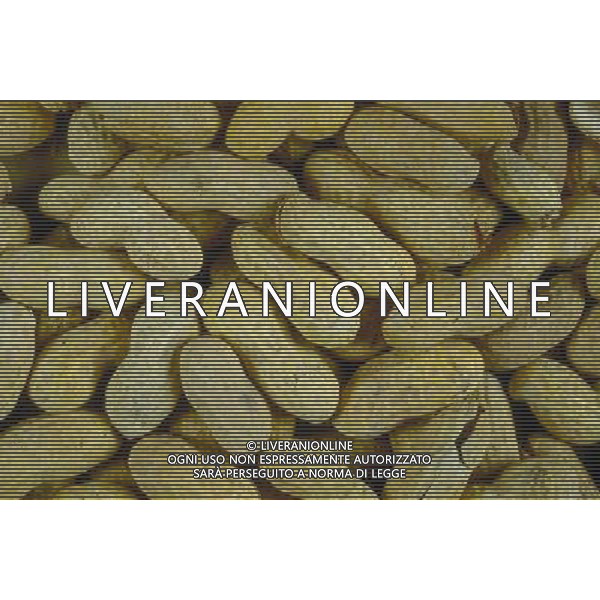 SITUATION FRUTTA SECCA NOCCIOLINE AGENZIA ALDO LIVERANI IFC