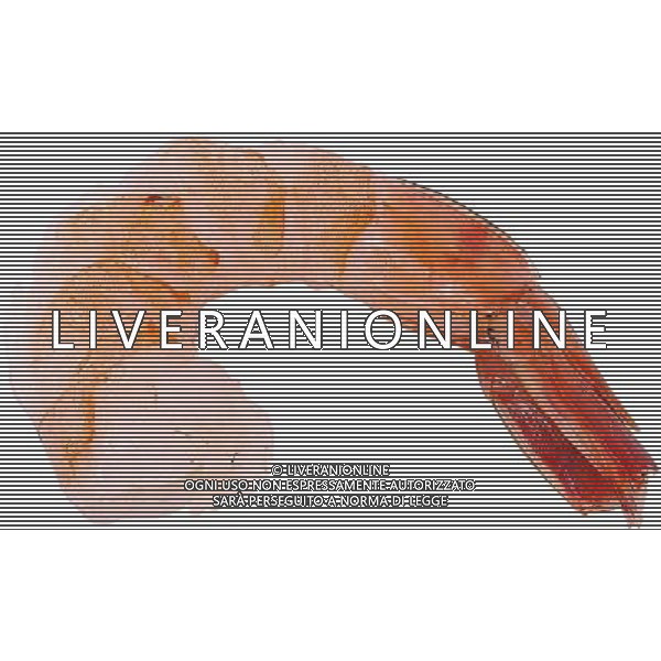 SITUATION GAMBERI AGENZIA ALDO LIVERANI SAS IFC