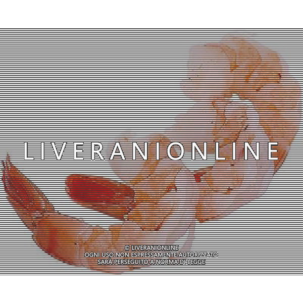 SITUATION GAMBERI AGENZIA ALDO LIVERANI SAS IFC