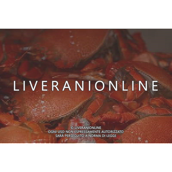 SITUATION GRANCHI-CROSTACEI AGENZIA ALDO LIVERANI IFC