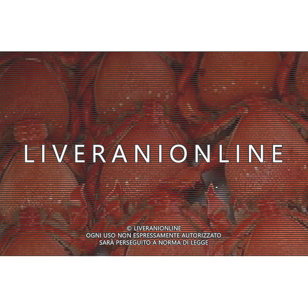 SITUATION GRANCHI-CROSTACEI AGENZIA ALDO LIVERANI IFC