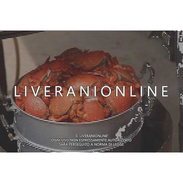 SITUATION GRANCHI-CROSTACEI AGENZIA ALDO LIVERANI IFC