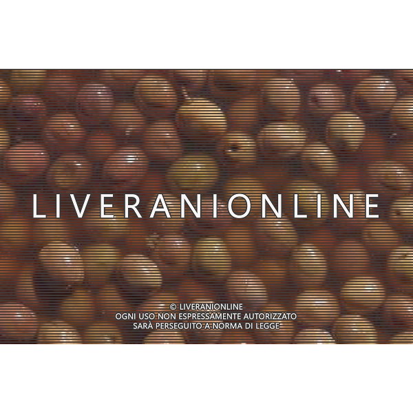 SITUATION OLIVE VERDI AGENZIA ALDO LIVERANI IFC