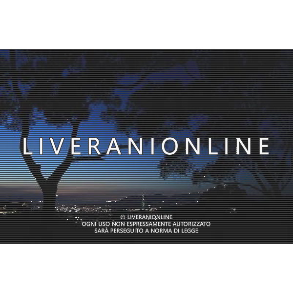 (110803) -- TAIPEI, Aug. 3, 2011 () -- Photo taken on Aug. 2, 2011 shows the night scene of Taipei, southeast China\'s Taiwan. Taipei witnessed a hot sunny day on Tuesday, with the highest temperature hitting nearly 36 degrees centigrade. (/Li Mingfang) (dtf)