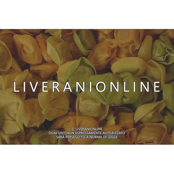 SITUATION PASTA TORTELLI AGENZIA ALDO LIVERANI IFC
