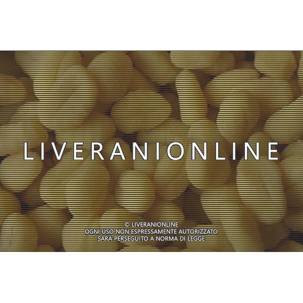 SITUATION PASTA GNOCCHI AGENZIA ALDO LIVERANI IFC
