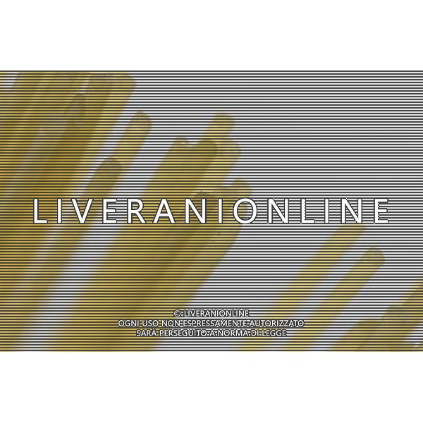 SITUATION PASTA SPAGHETTI AGENZIA ALDO LIVERANI IFC