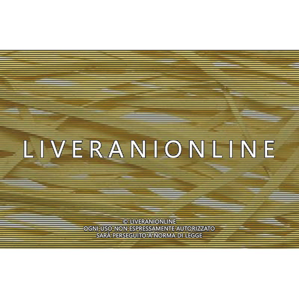 SITUATION PASTA AGENZIA ALDO LIVERANI IFC