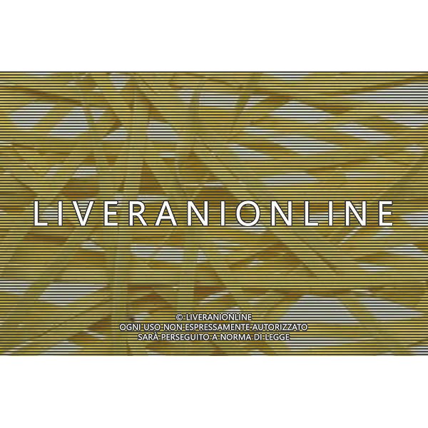 SITUATION PASTA AGENZIA ALDO LIVERANI IFC