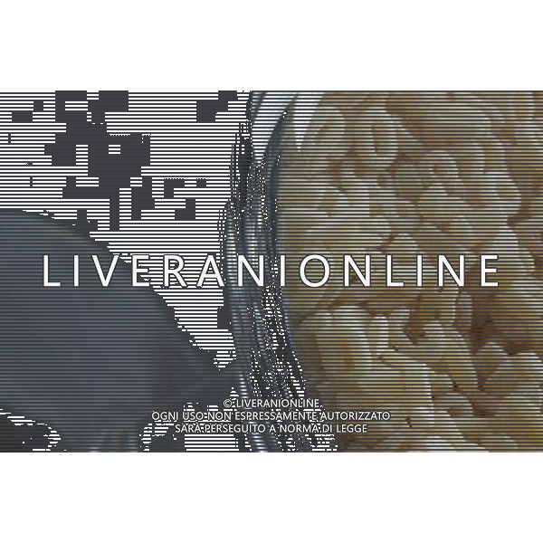 SITUATION PASTA AGENZIA ALDO LIVERANI IFC