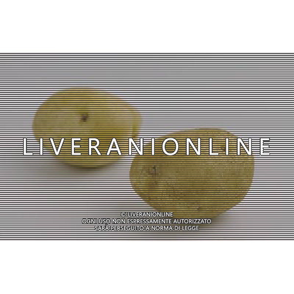 NELLA FOTO PATATE SITUATION AGENZIA ALDO LIVERANI IFC