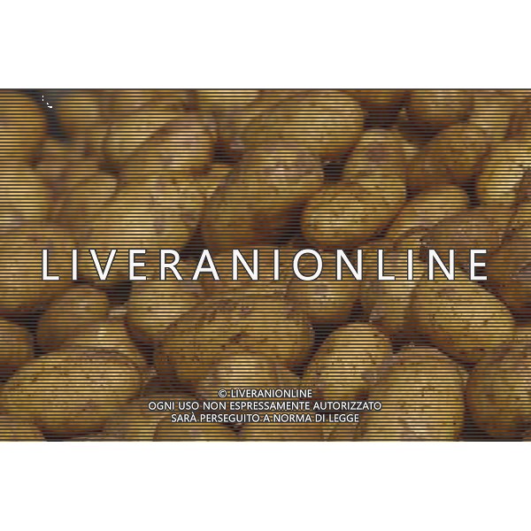 NELLA FOTO PATATE SITUATION AGENZIA ALDO LIVERANI IFC