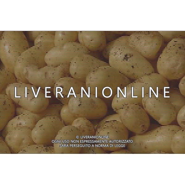 NELLA FOTO PATATE SITUATION AGENZIA ALDO LIVERANI IFC