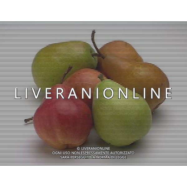 SITUATION PERE FRUTTA AGENZIA ALDO LIVERANI IFC