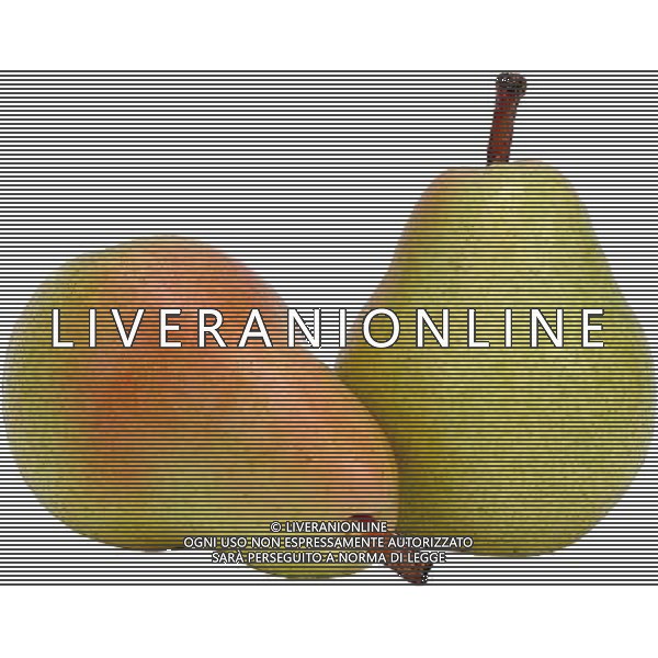 SITUATION PERE FRUTTA AGENZIA ALDO LIVERANI IFC