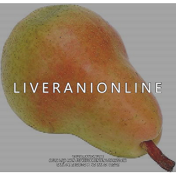 SITUATION PERE FRUTTA AGENZIA ALDO LIVERANI IFC