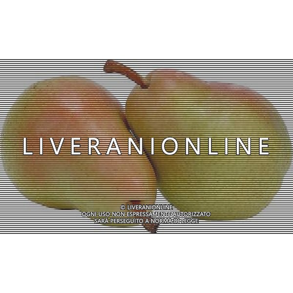 SITUATION PERE FRUTTA AGENZIA ALDO LIVERANI IFC