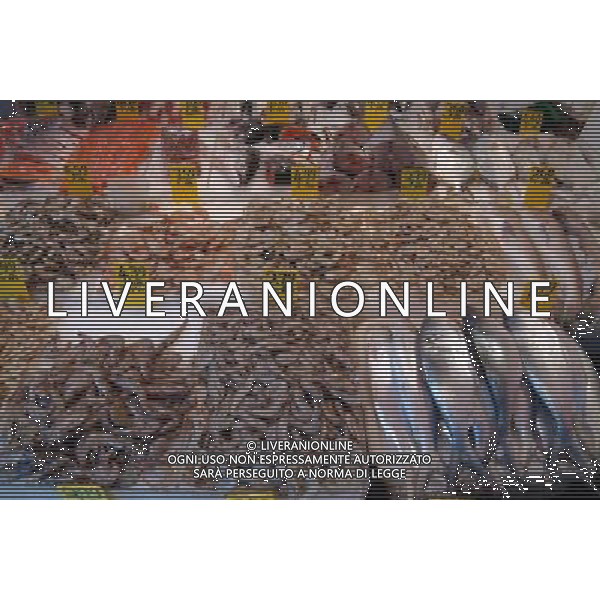 SITUATION PESCE BANCO AGENZIA ALDO LIVERANI IFC