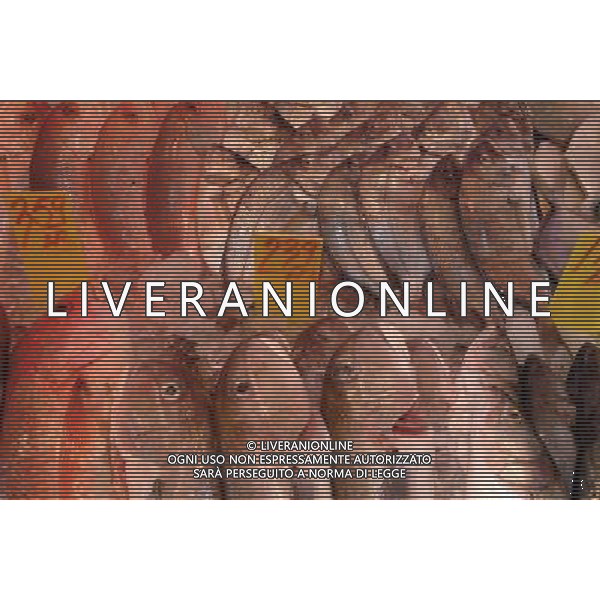 SITUATION PESCE BANCO AGENZIA ALDO LIVERANI IFC
