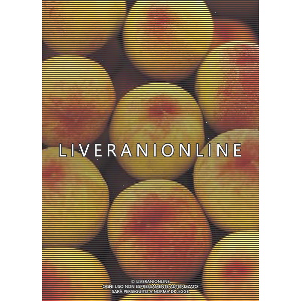 SITUATION PESCHE FRUTTA AGENZIA ALDO LIVERANI IFC